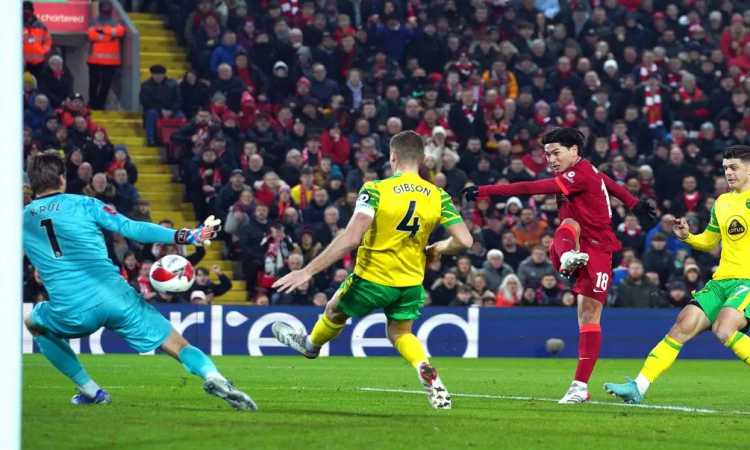 ليفربول ونوريتش سيتى