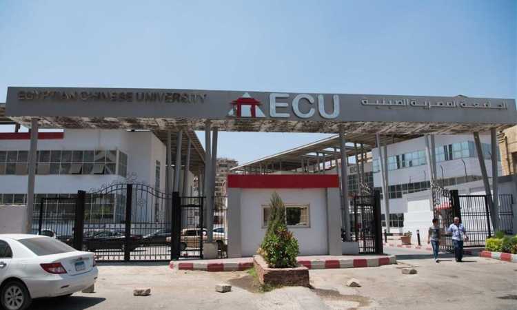الجامعة المصرية الصينية