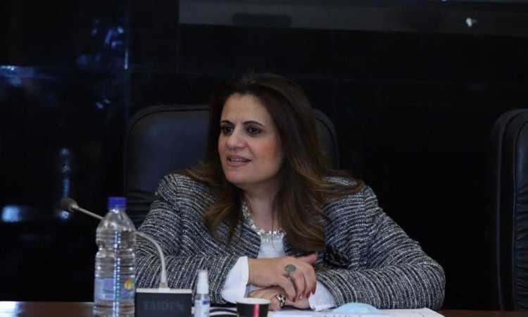 السفيرة سها جندى