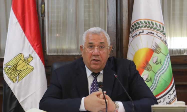 السيد القصير