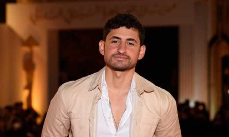أمير المصرى