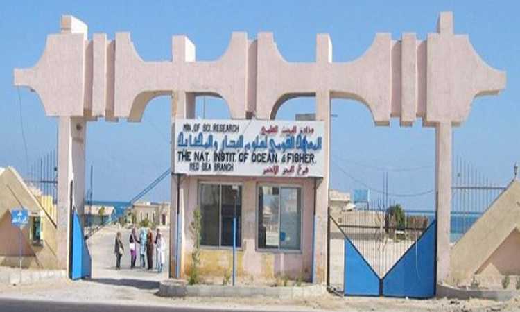 المعهد القومى لعلوم البحار والمصايد