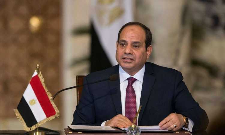 الرئيس عبدالفتاح السيسى