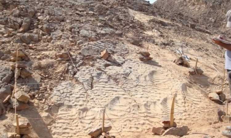 كود جيولوجى مصرى لمناطق التنمية