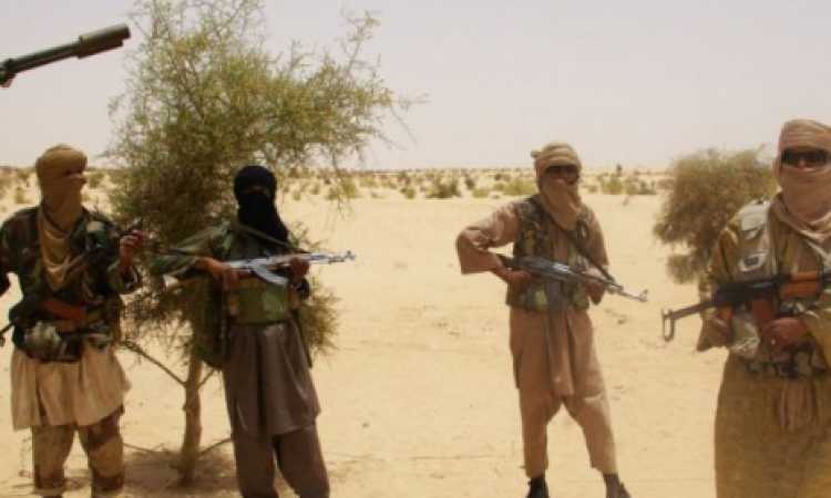 الإرهاب فى مالى
