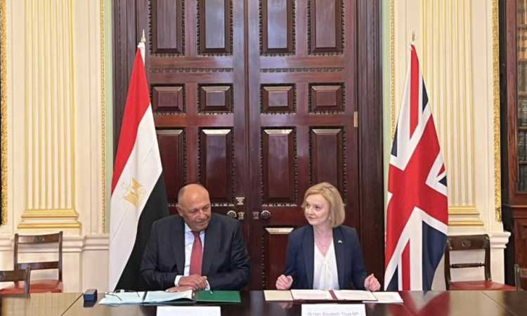 اللقاء