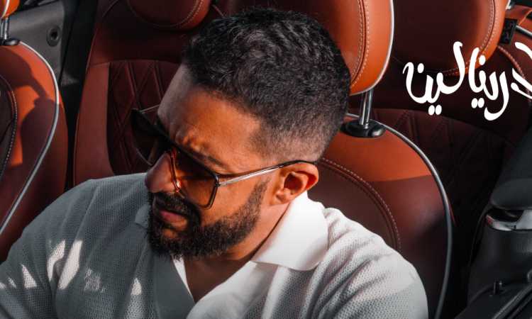 محمد حماقى