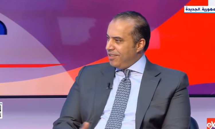 المستشار محمود فوزى