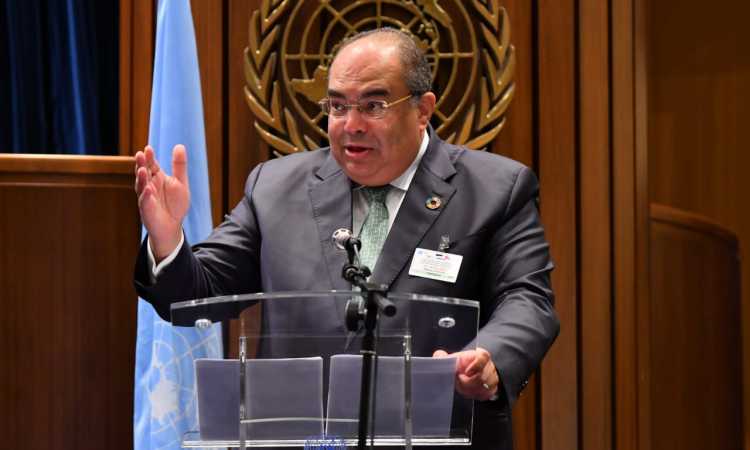 د محمود محيي الدين