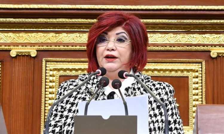 النائبة نورا على