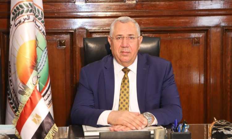 السيد القصير