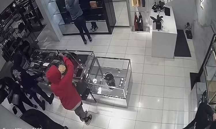 سرقة حقائب
