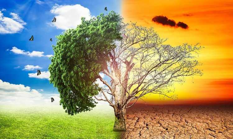 أثار التغير المناخى