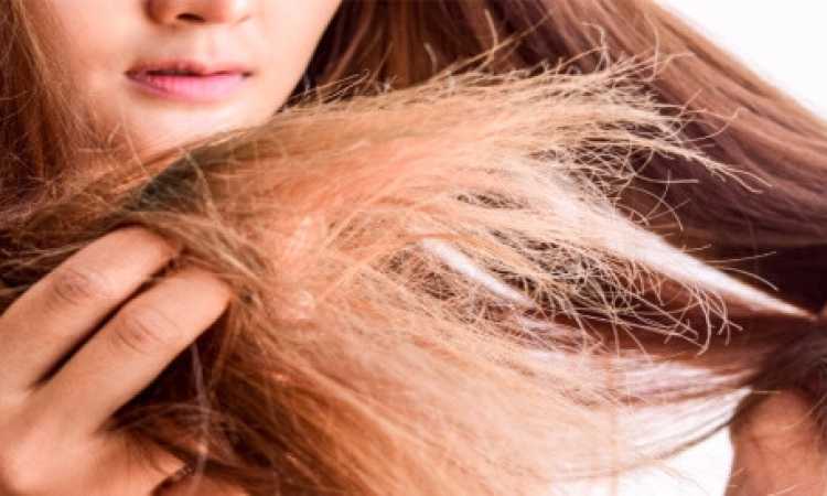 ترطيب الشعر الجاف ـ تعبيرية