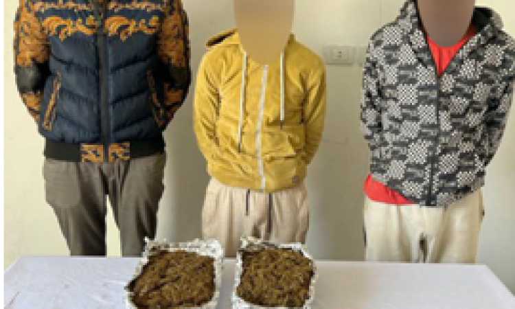 سقوط ربع دستة تجار مخدر الهيدرو في بدر