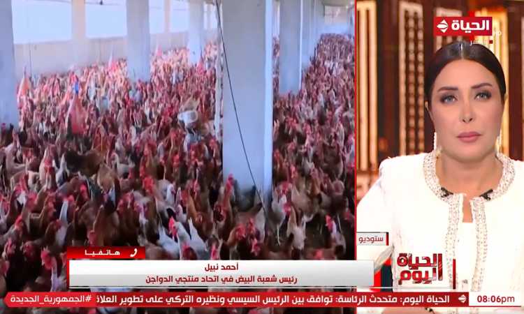 رئيس شعبة البيض