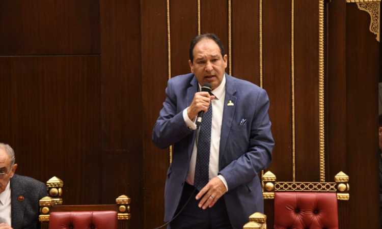 النائب حسام الخولى