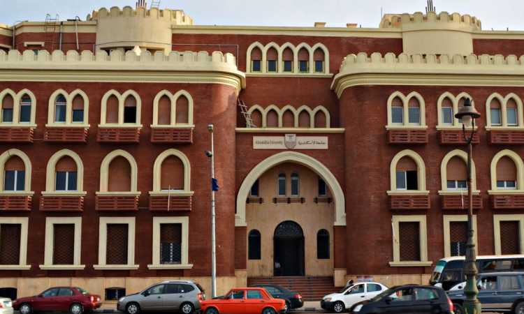 جامعة الإسكندرية