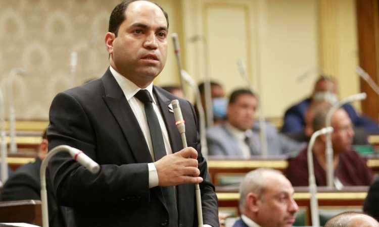 النائب عمرو درويش