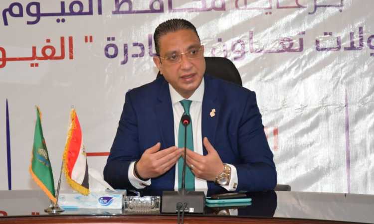 الدكتور أحمد الأنصاري، محافظ الفيوم