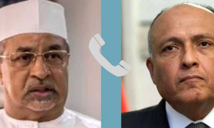 شكري ونظيره التشادي