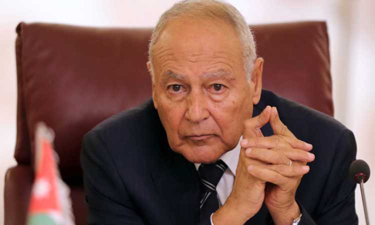 أحمد أبو الغيط