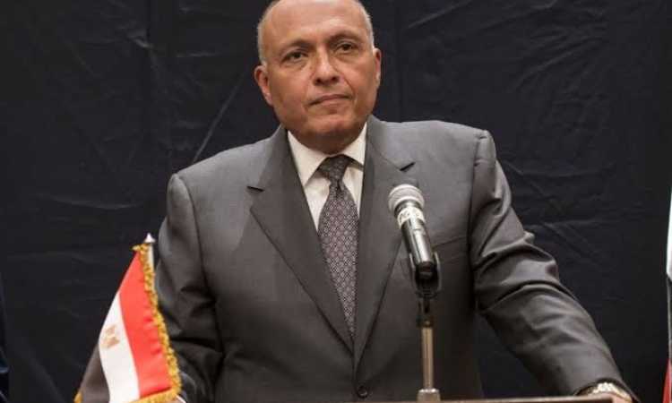 وزير الخارجية سامح شكري صورة ارشيفية