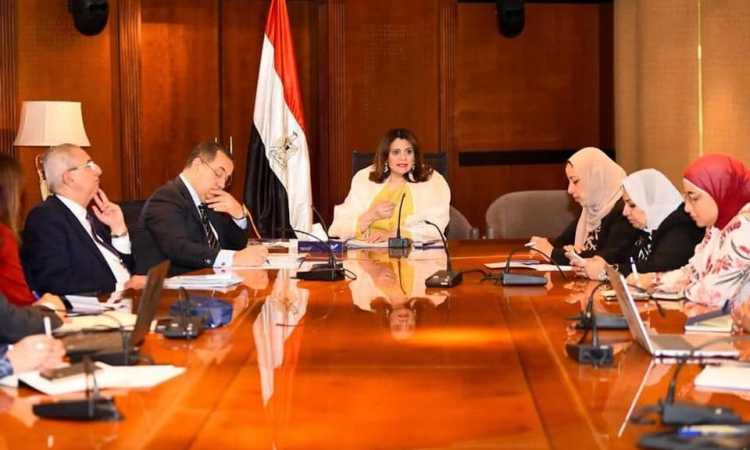 الهجرة والتعليم العالى