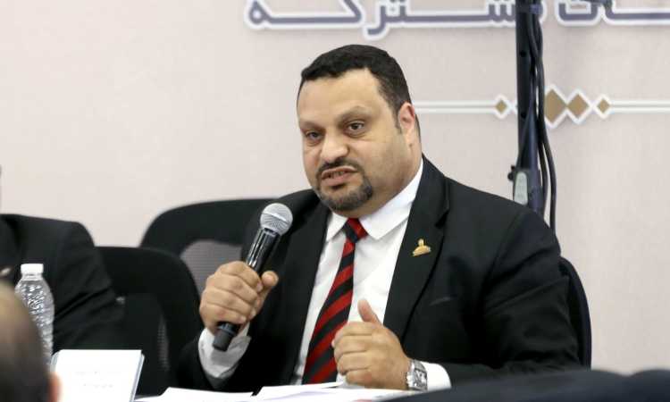 النائب أحمد القناوى