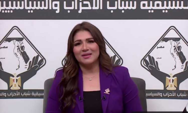 التنسيقية تناقش قضايا المحور الاقتصادى «الاستثمار المحلى والأجنبى»