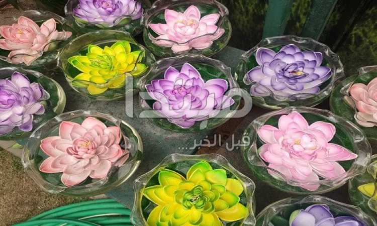 معرض زهور الربيع بالدقى