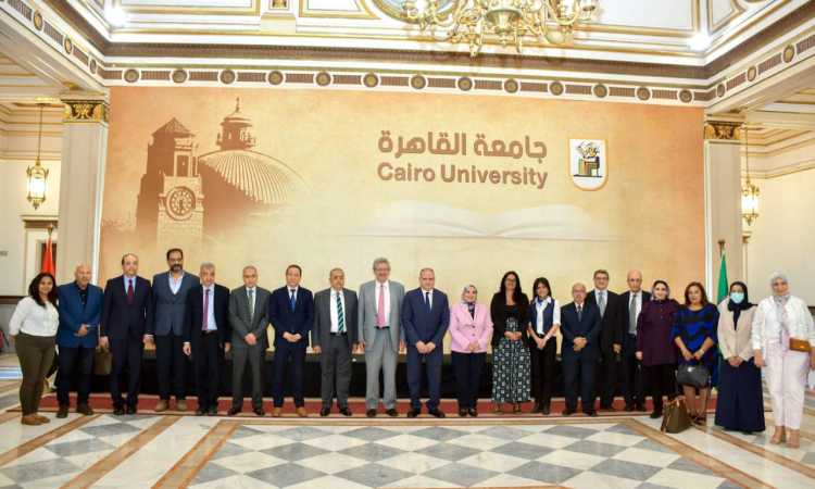 اتفاقية طب القاهرة