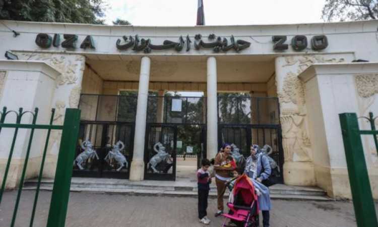 حديقة الحيوان بالجيزة