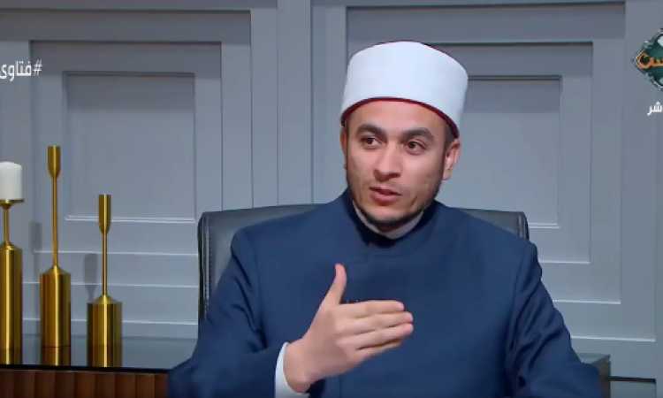 الدكتور محمود شلبى