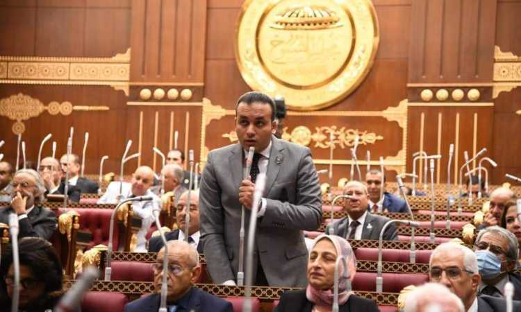 النائب عمرو فهمي