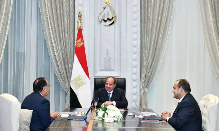 الرئيس السيسي خلال اللقاء