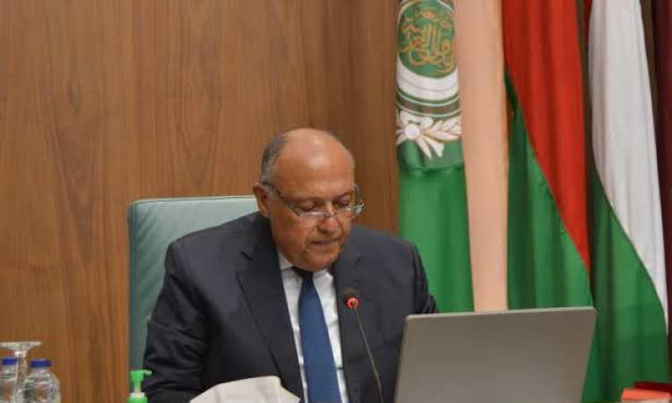 سامح شكري