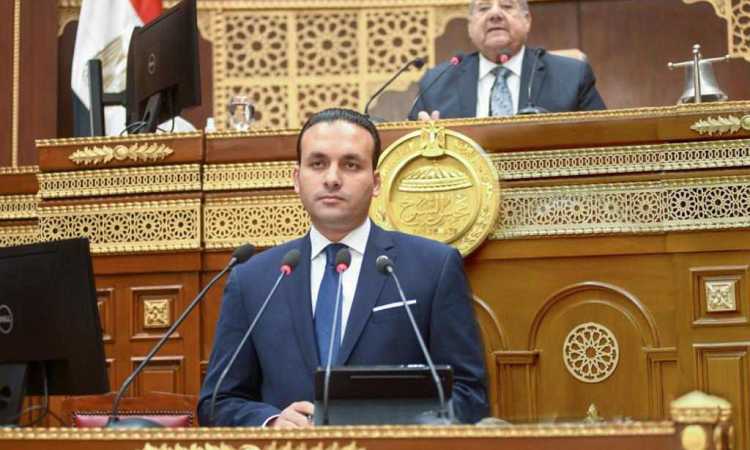 النائب عمرو فهمي