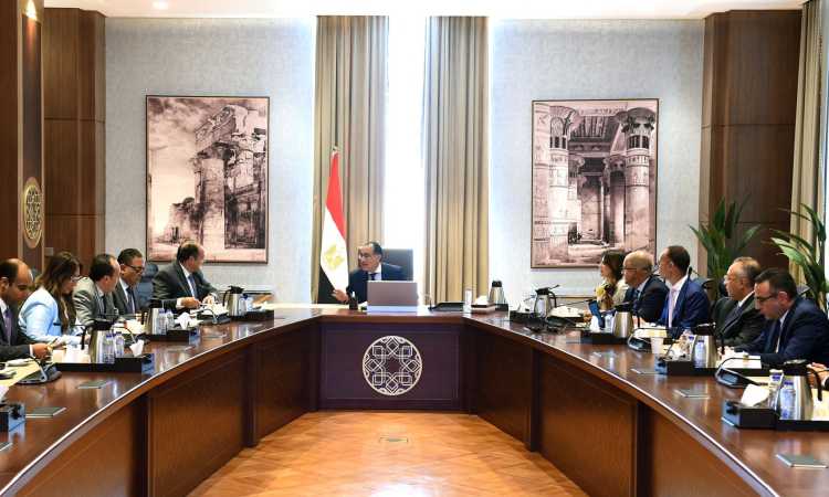 رئيس مجلس الوزراء