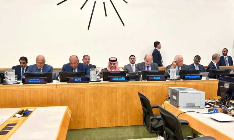 شكري خلال المشاركة