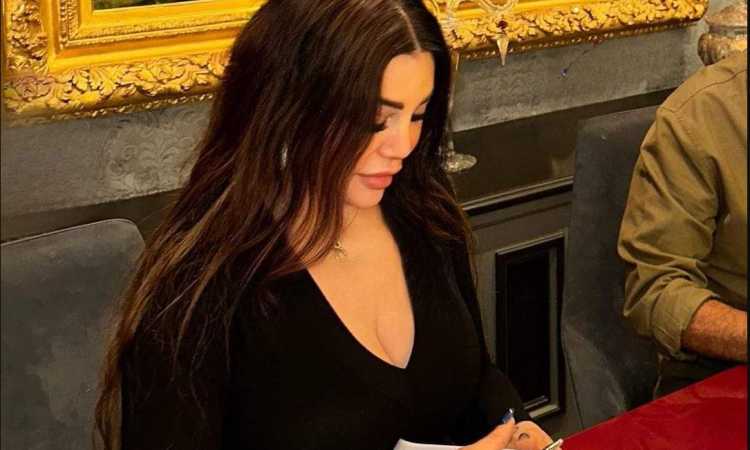 هيفاء وهبى
