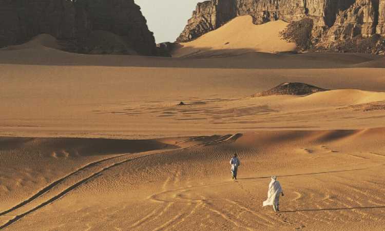 صحراء النقب