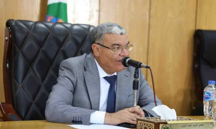 محافظ المنيا