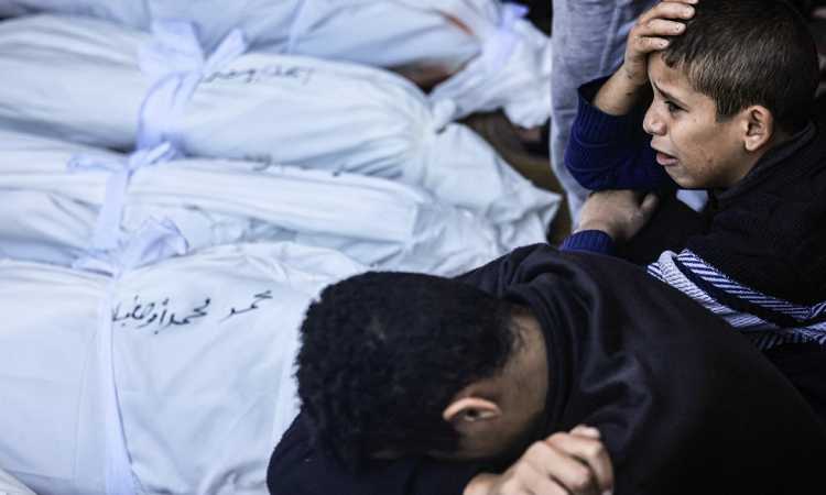 عدد من الشهداء في غزة