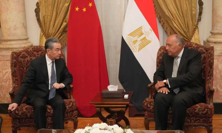 وزيرا خارجية مصر والصين
