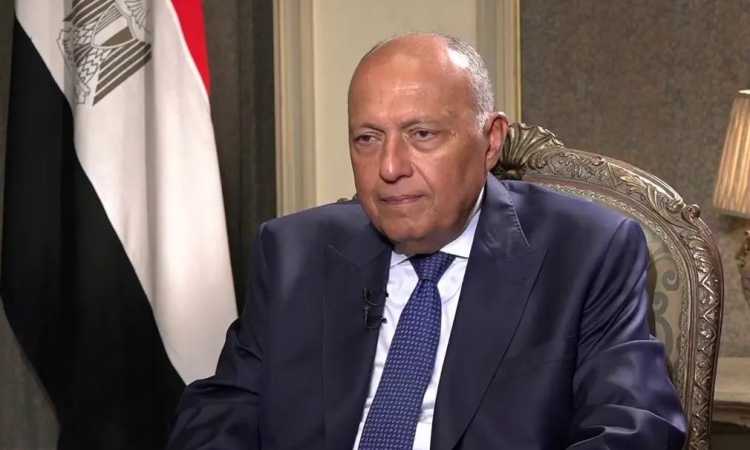 سامح شكرى
