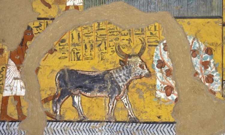 كيف كانت الزراعة في الحقبة الفرعونية؟