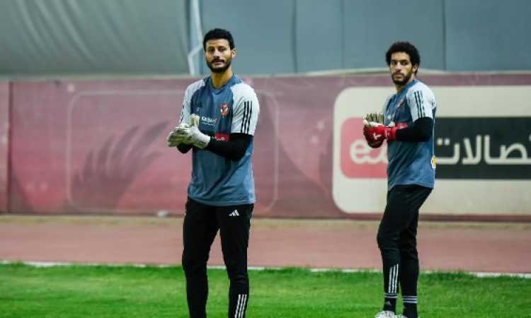 الشناوي وشوبير