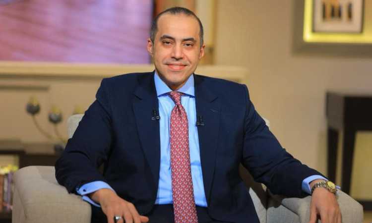 المستشار محمود فوزي