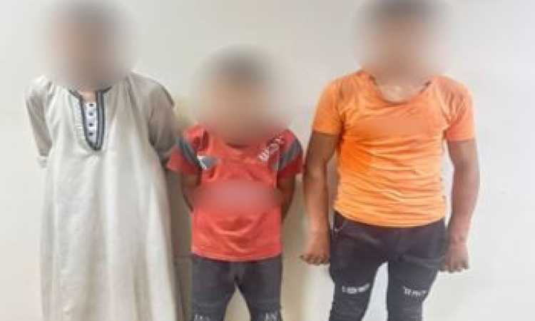 المهمين